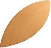 a brown plastic leaf shaped object.jpg